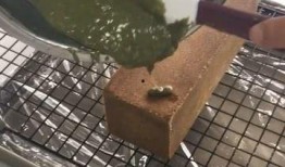 臭豆腐做法爆料视频,视频揭秘家常美味制作过程